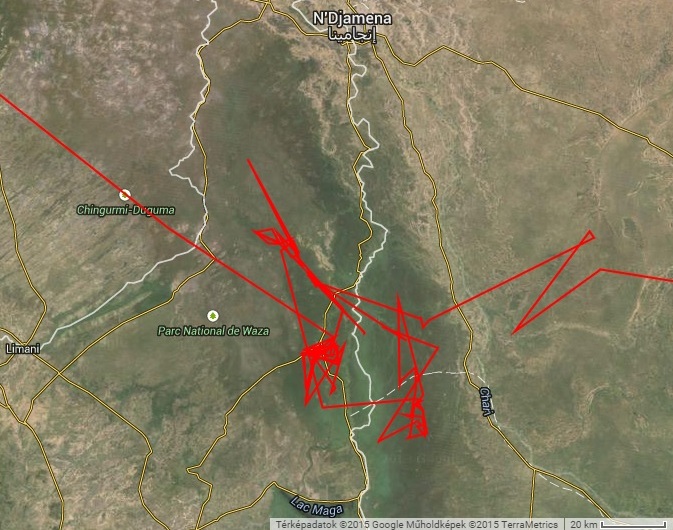 Varbó mozgása 2014 telén Logone folyó mentén (forrás: http://satellitetracking.eu/)